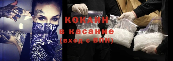 соль ск Богданович