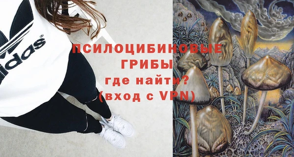 дмт Богородск