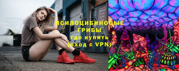 дмт Богородск