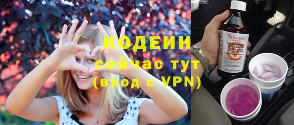 дмт Богородск