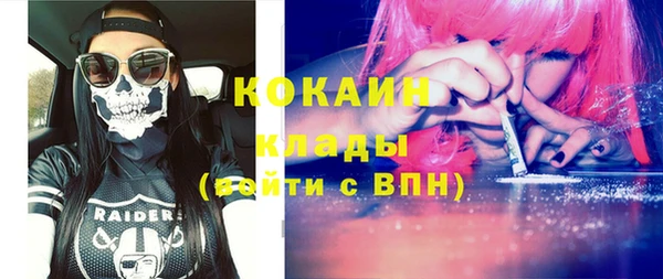 соль ск Богданович