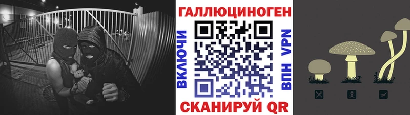 Галлюциногенные грибы Psilocybe  Волчанск 